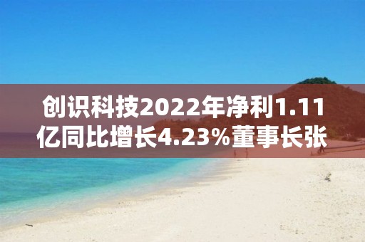 創識科技2022年凈利1.11億同比增長4.23%董事長張更生薪酬99.3萬