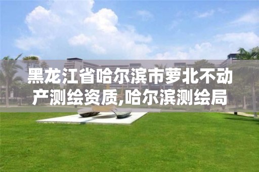 黑龍江省哈爾濱市蘿北不動產測繪資質,哈爾濱測繪局屬于什么單位