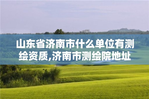 山東省濟南市什么單位有測繪資質(zhì),濟南市測繪院地址