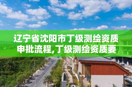 遼寧省沈陽市丁級測繪資質申批流程,丁級測繪資質要求