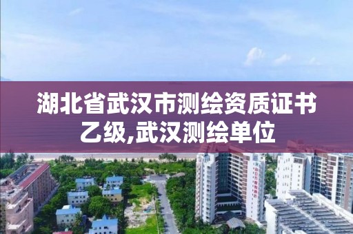 湖北省武漢市測繪資質證書乙級,武漢測繪單位