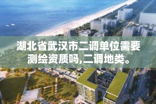 湖北省武漢市二調單位需要測繪資質嗎,二調地類。