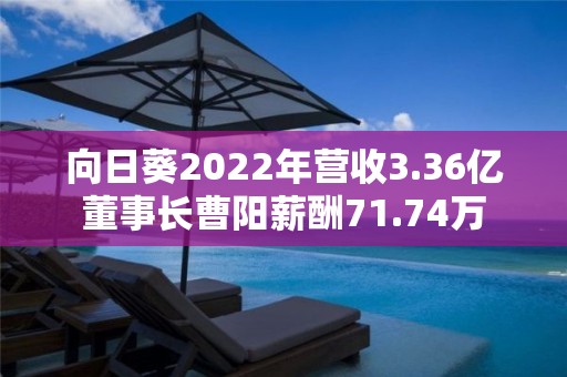 向日葵2022年營收3.36億董事長曹陽薪酬71.74萬