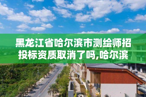 黑龍江省哈爾濱市測繪師招投標資質(zhì)取消了嗎,哈爾濱測繪局工資怎么樣。