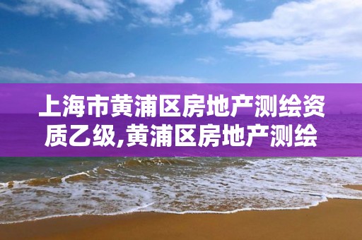 上海市黃浦區房地產測繪資質乙級,黃浦區房地產測繪中心