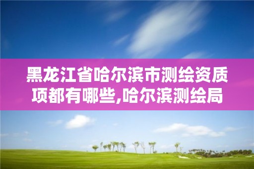 黑龍江省哈爾濱市測繪資質項都有哪些,哈爾濱測繪局幼兒園是民辦還是公辦