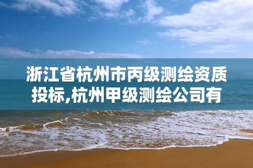 浙江省杭州市丙級測繪資質投標,杭州甲級測繪公司有哪些