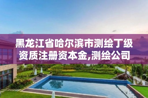 黑龍江省哈爾濱市測繪丁級資質注冊資本金,測繪公司丁級資質。