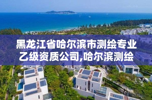 黑龍江省哈爾濱市測繪專業乙級資質公司,哈爾濱測繪專科學校