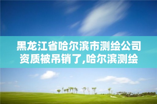 黑龍江省哈爾濱市測繪公司資質(zhì)被吊銷了,哈爾濱測繪公司招聘