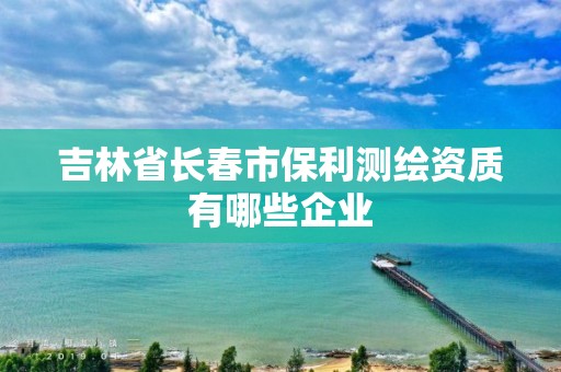 吉林省長春市保利測繪資質有哪些企業