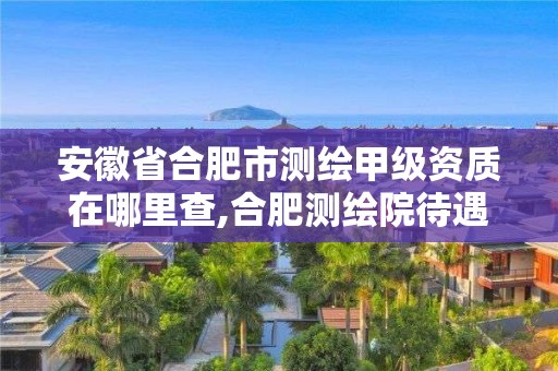 安徽省合肥市測繪甲級資質在哪里查,合肥測繪院待遇怎么樣