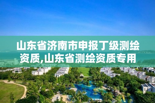 山東省濟南市申報丁級測繪資質,山東省測繪資質專用章 丁級