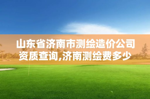 山東省濟南市測繪造價公司資質查詢,濟南測繪費多少錢一平