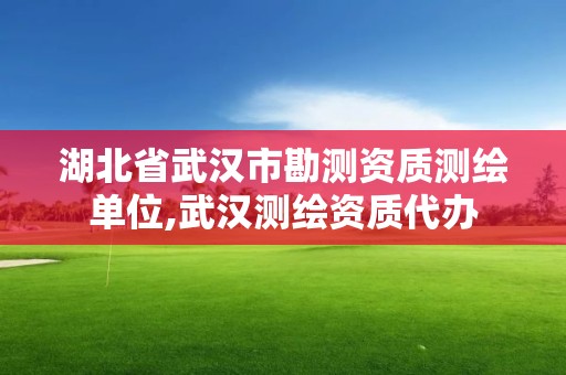 湖北省武漢市勘測(cè)資質(zhì)測(cè)繪單位,武漢測(cè)繪資質(zhì)代辦