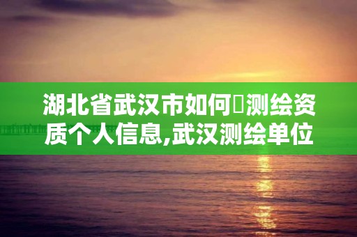 湖北省武漢市如何査測繪資質個人信息,武漢測繪單位