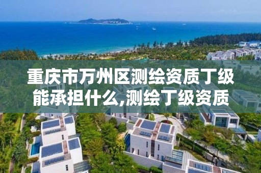 重慶市萬州區測繪資質丁級能承擔什么,測繪丁級資質申報條件。