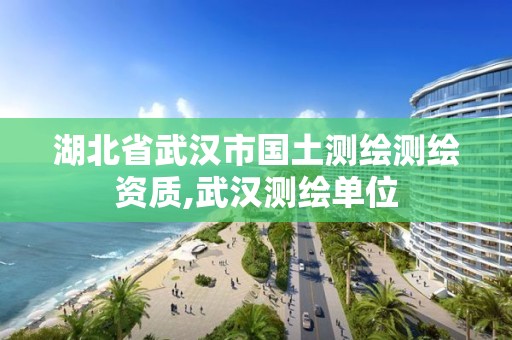 湖北省武漢市國土測繪測繪資質,武漢測繪單位