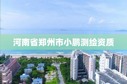 河南省鄭州市小鵬測繪資質(zhì)