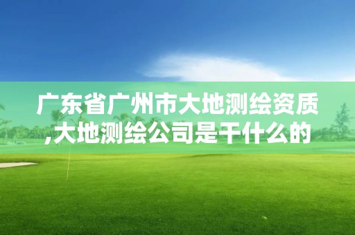 廣東省廣州市大地測繪資質,大地測繪公司是干什么的