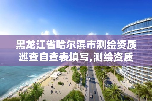 黑龍江省哈爾濱市測繪資質巡查自查表填寫,測繪資質巡查報告