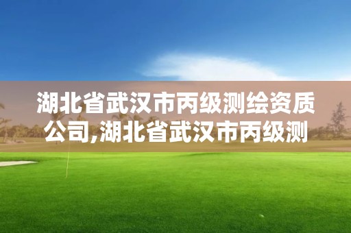 湖北省武漢市丙級測繪資質公司,湖北省武漢市丙級測繪資質公司有幾家