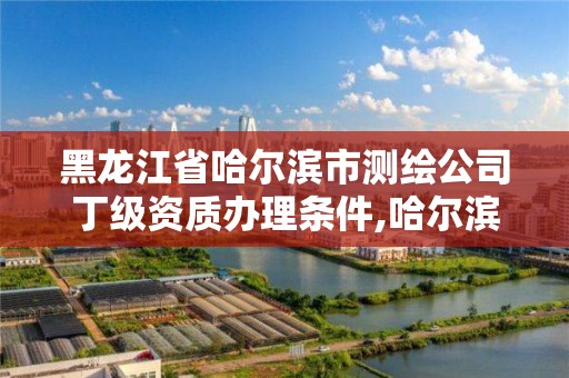 黑龍江省哈爾濱市測繪公司丁級資質辦理條件,哈爾濱測繪公司哪家好