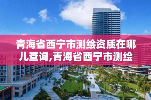 青海省西寧市測繪資質在哪兒查詢,青海省西寧市測繪資質在哪兒查詢啊