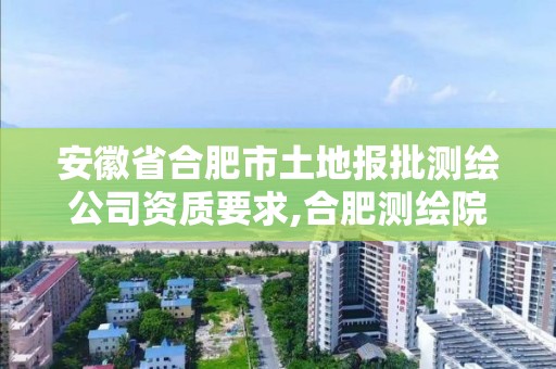 安徽省合肥市土地報批測繪公司資質要求,合肥測繪院待遇怎么樣。