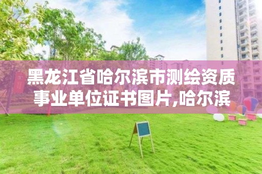 黑龍江省哈爾濱市測繪資質事業單位證書圖片,哈爾濱市測繪院。