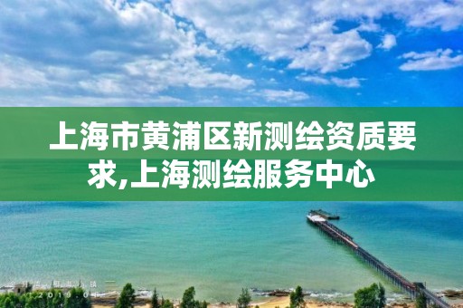 上海市黃浦區新測繪資質要求,上海測繪服務中心