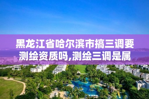 黑龍江省哈爾濱市搞三調要測繪資質嗎,測繪三調是屬于什么工作。