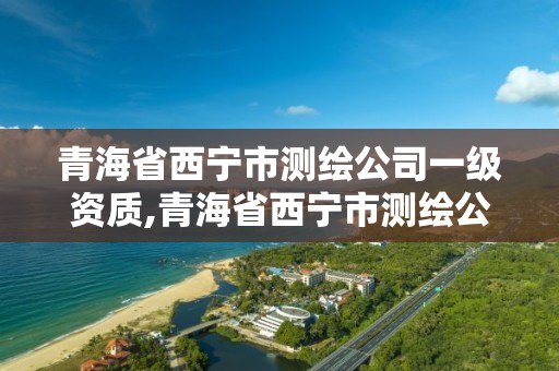 青海省西寧市測繪公司一級資質,青海省西寧市測繪公司一級資質企業名單