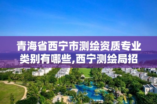 青海省西寧市測繪資質專業類別有哪些,西寧測繪局招聘