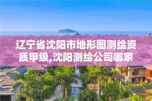 遼寧省沈陽市地形圖測繪資質甲級,沈陽測繪公司哪家強哪家好。