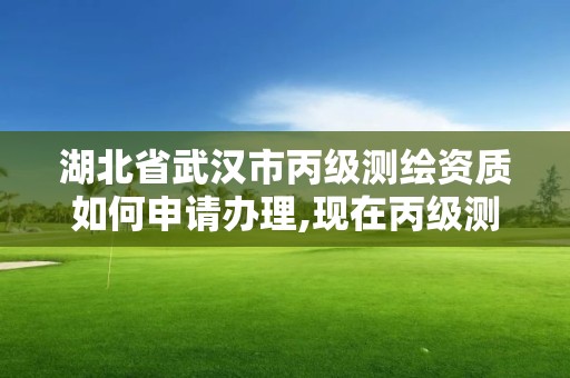 湖北省武漢市丙級測繪資質如何申請辦理,現在丙級測繪資質辦理需要多少錢。