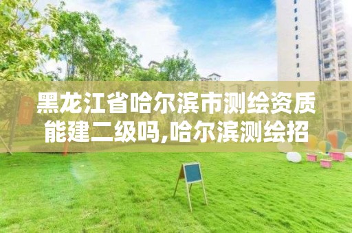 黑龍江省哈爾濱市測繪資質能建二級嗎,哈爾濱測繪招聘。