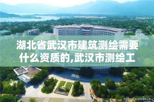 湖北省武漢市建筑測繪需要什么資質(zhì)的,武漢市測繪工程技術(shù)規(guī)定。