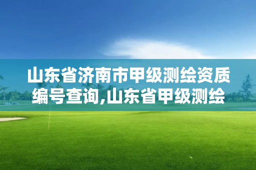 山東省濟(jì)南市甲級(jí)測(cè)繪資質(zhì)編號(hào)查詢,山東省甲級(jí)測(cè)繪單位多少家