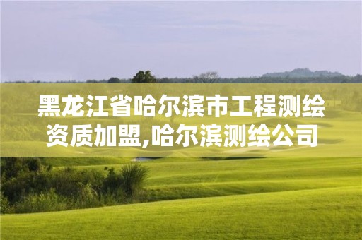 黑龍江省哈爾濱市工程測繪資質加盟,哈爾濱測繪公司哪家好