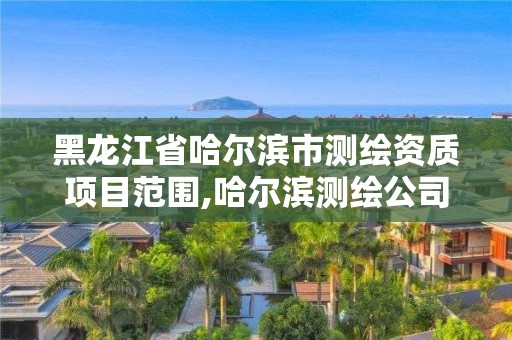 黑龍江省哈爾濱市測(cè)繪資質(zhì)項(xiàng)目范圍,哈爾濱測(cè)繪公司哪家好