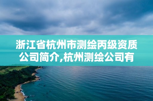 浙江省杭州市測繪丙級資質(zhì)公司簡介,杭州測繪公司有哪幾家。