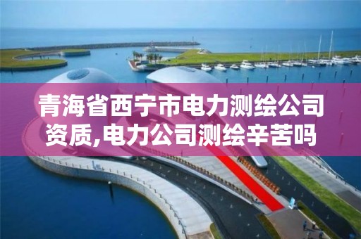 青海省西寧市電力測繪公司資質,電力公司測繪辛苦嗎