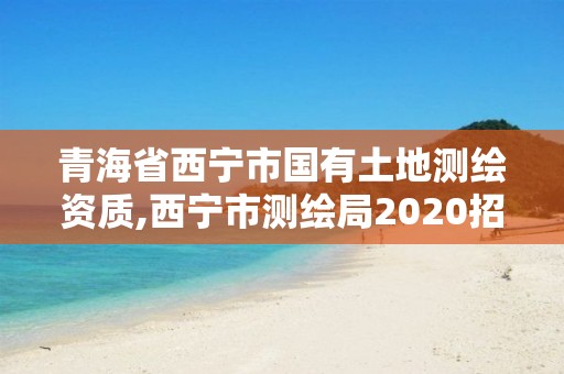 青海省西寧市國(guó)有土地測(cè)繪資質(zhì),西寧市測(cè)繪局2020招聘