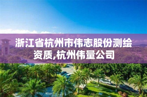 浙江省杭州市偉志股份測繪資質,杭州偉量公司