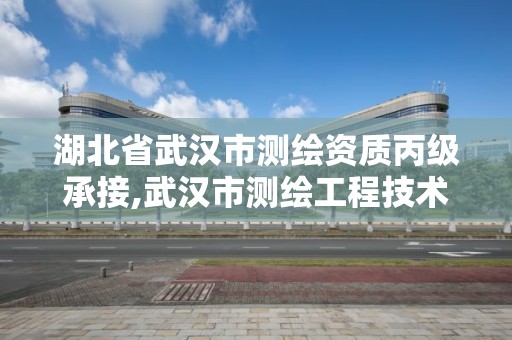 湖北省武漢市測繪資質丙級承接,武漢市測繪工程技術規定