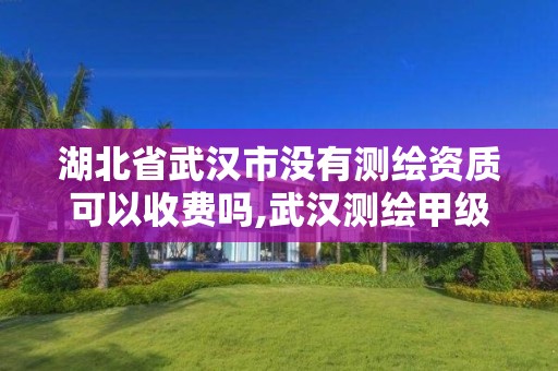 湖北省武漢市沒有測繪資質可以收費嗎,武漢測繪甲級資質公司