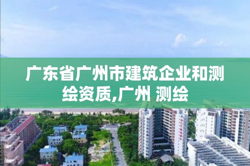 廣東省廣州市建筑企業(yè)和測繪資質(zhì),廣州 測繪