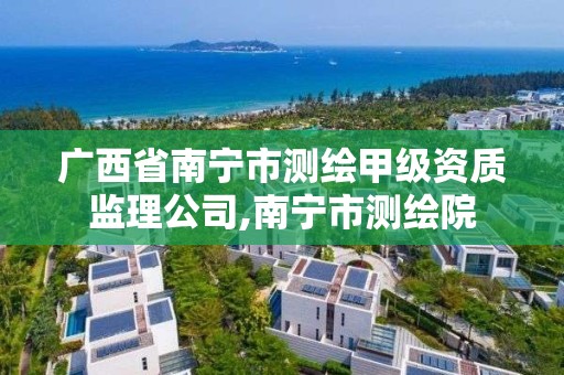 廣西省南寧市測繪甲級資質(zhì)監(jiān)理公司,南寧市測繪院