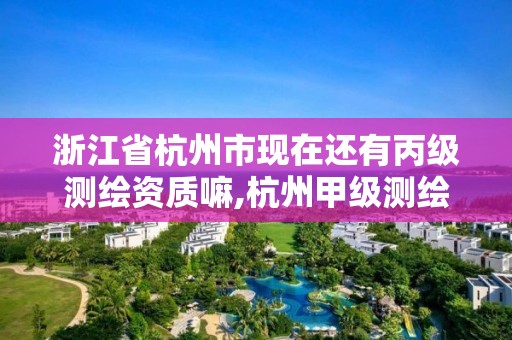 浙江省杭州市現在還有丙級測繪資質嘛,杭州甲級測繪公司有哪些。